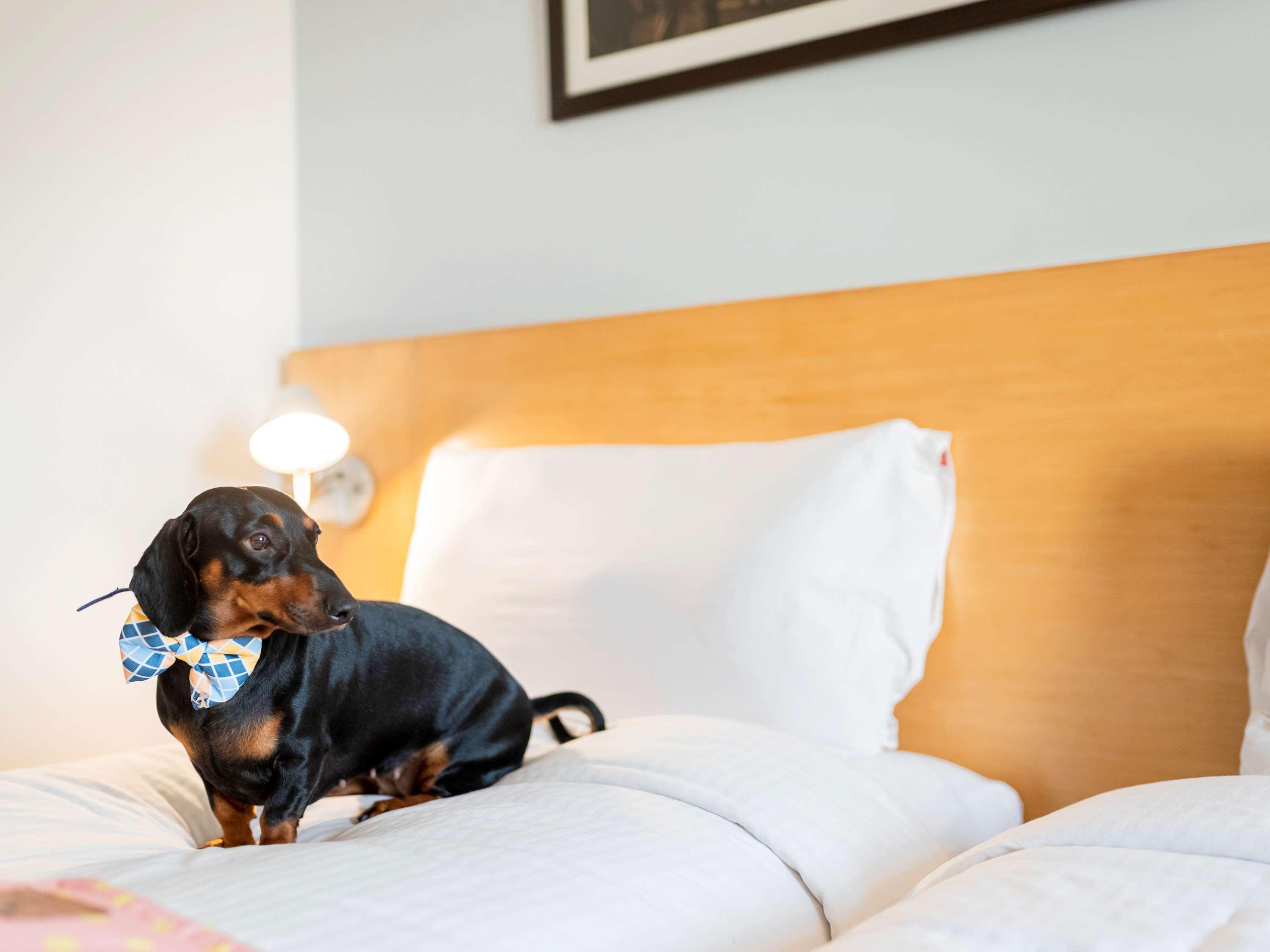 Ibis Coimbatore City Centre - An Accor Brand Eksteriør bilde