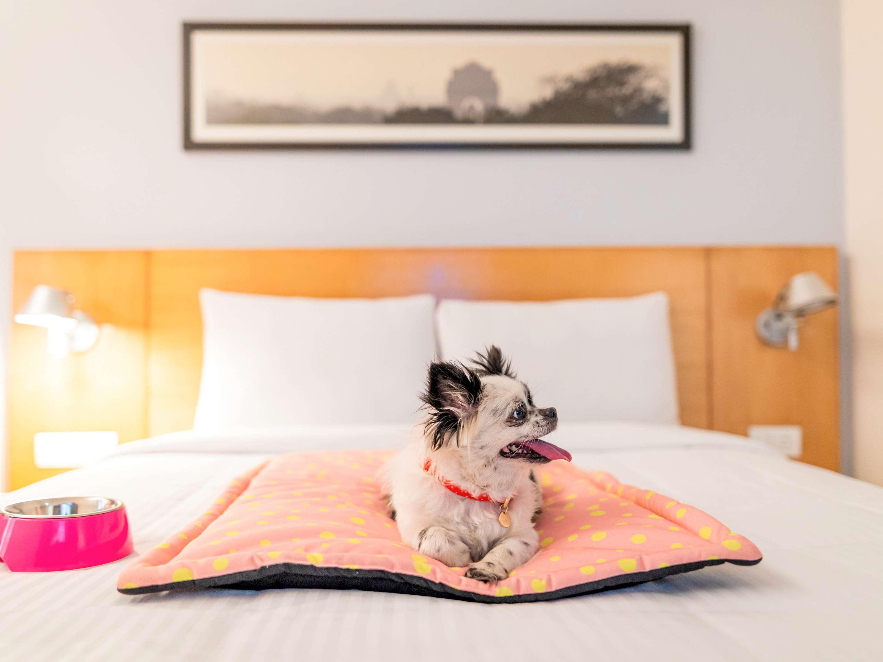 Ibis Coimbatore City Centre - An Accor Brand Eksteriør bilde